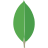 Icone MongoDB
